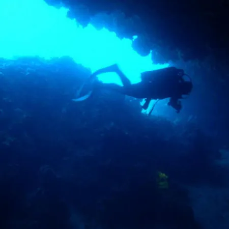 Diver بيت ضيافة